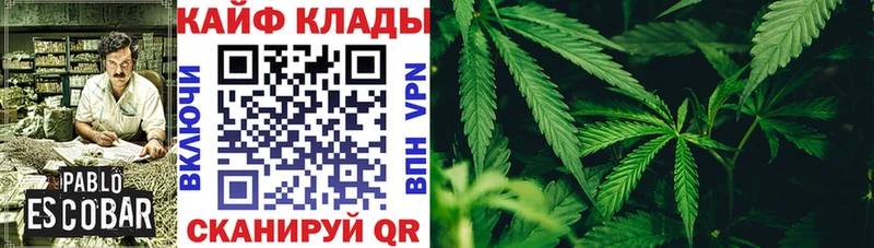 ГАШИШ Владимир