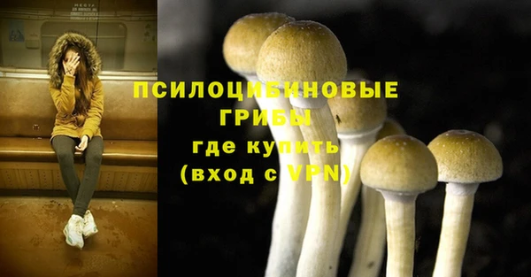 скорость Приозерск