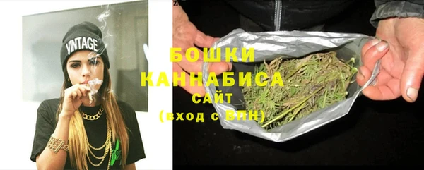 МДПВ Протвино