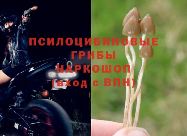 МДПВ Протвино