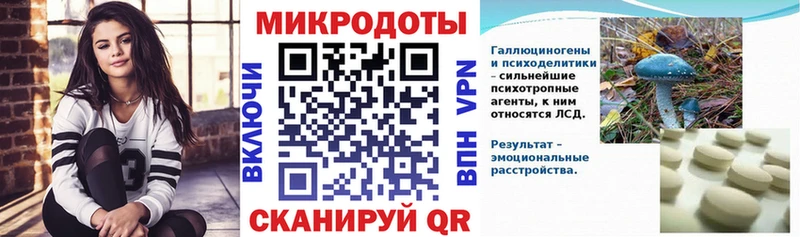 Купить закладки  Владимир  Галлюциногенные грибы Magic Shrooms 